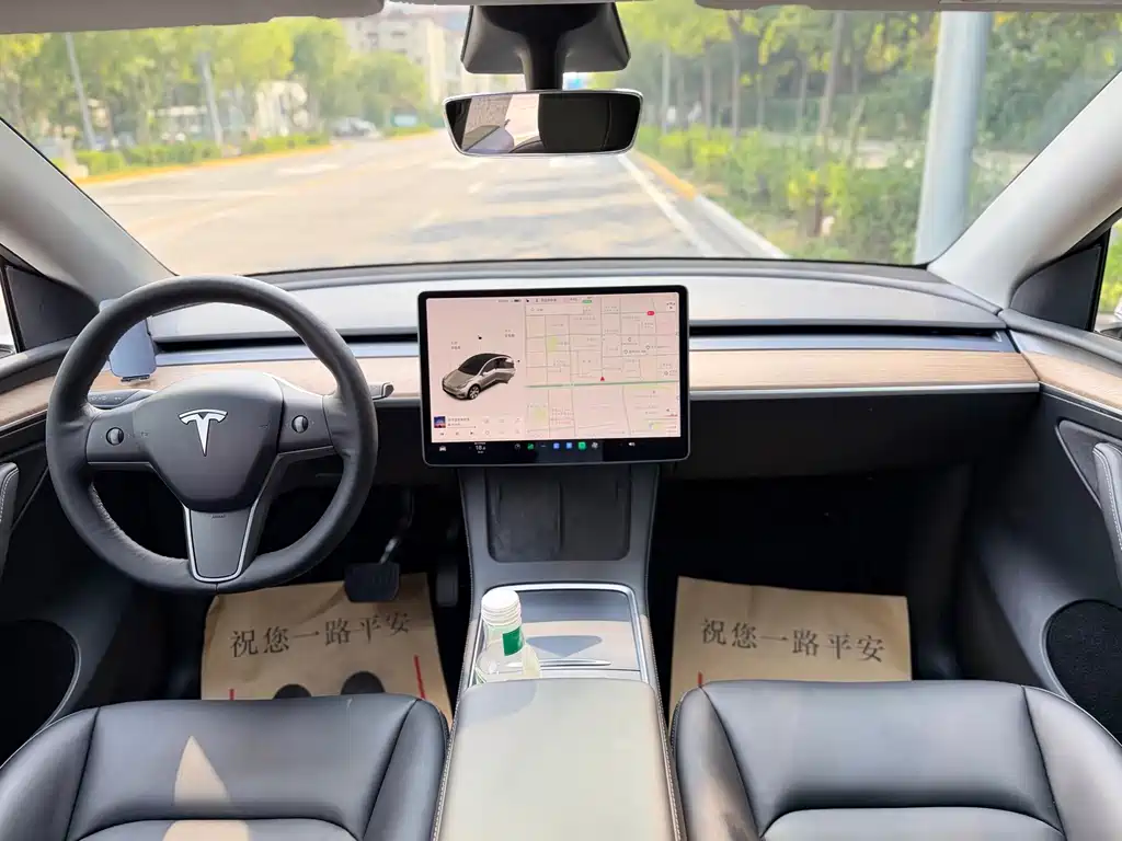 Tesla Model Y — фото 6