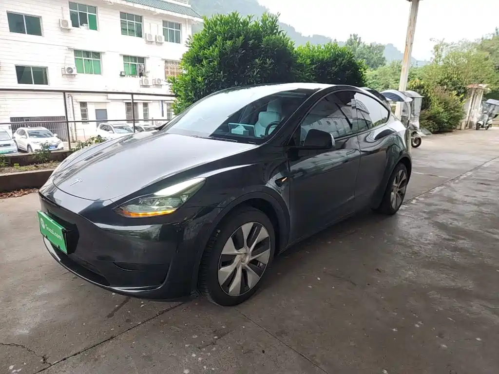 Tesla Model Y — фото 2