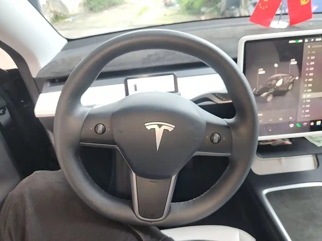 Tesla Model Y — фото 11