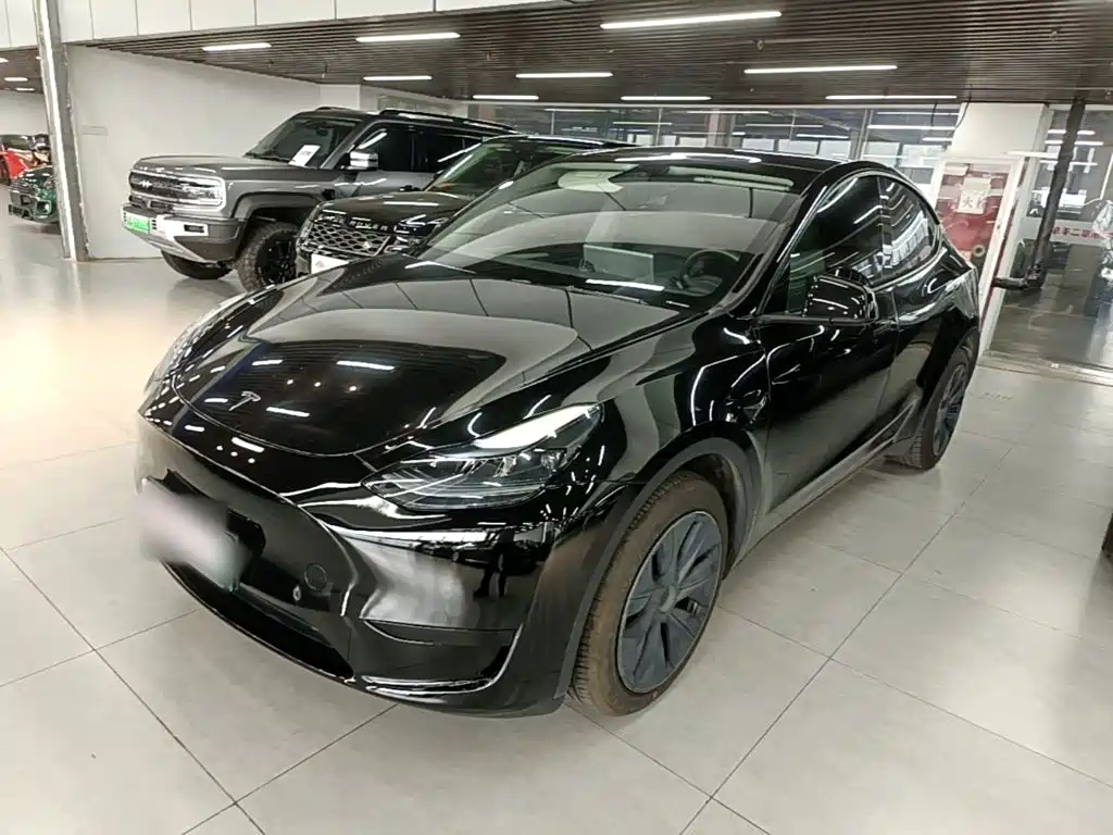 Tesla Model Y — фото 2