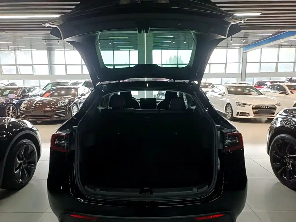 Tesla Model Y — фото 19