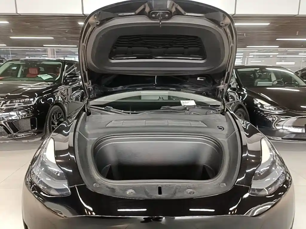 Tesla Model Y — фото 20