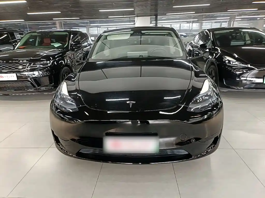 Tesla Model Y — фото 3
