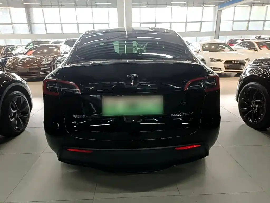 Tesla Model Y — фото 6