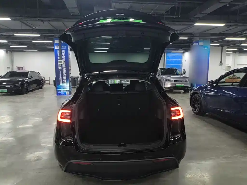 Tesla Model Y — фото 19