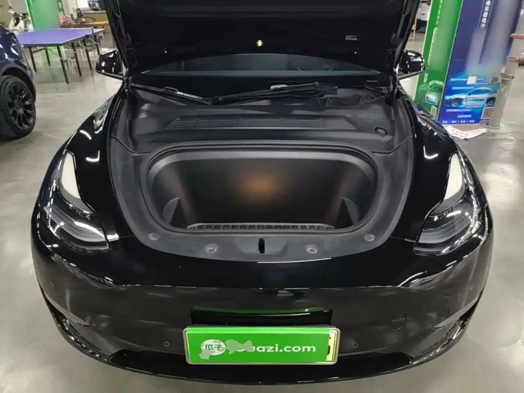 Tesla Model Y — фото 20
