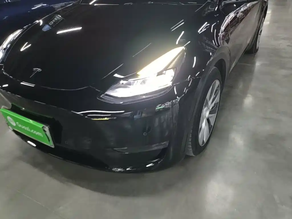 Tesla Model Y — фото 24