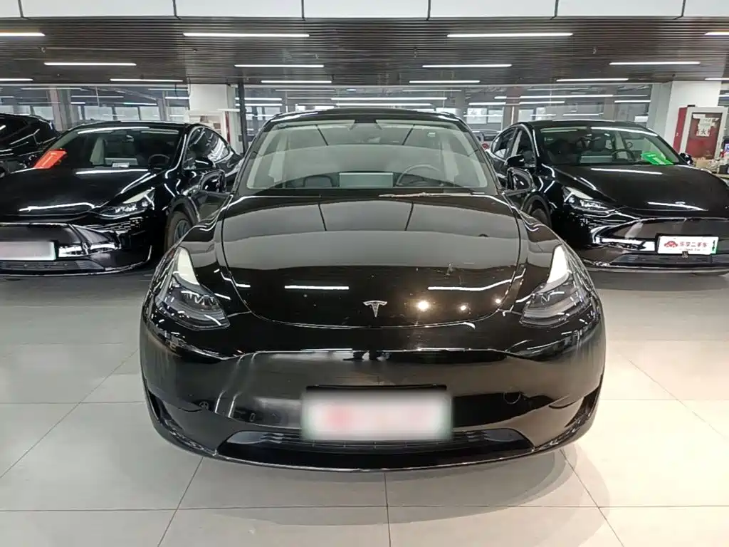 Tesla Model Y — фото 3
