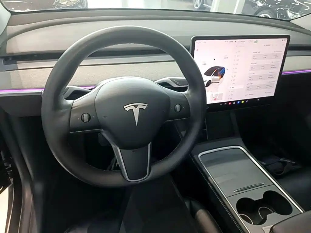 Tesla Model Y — фото 10