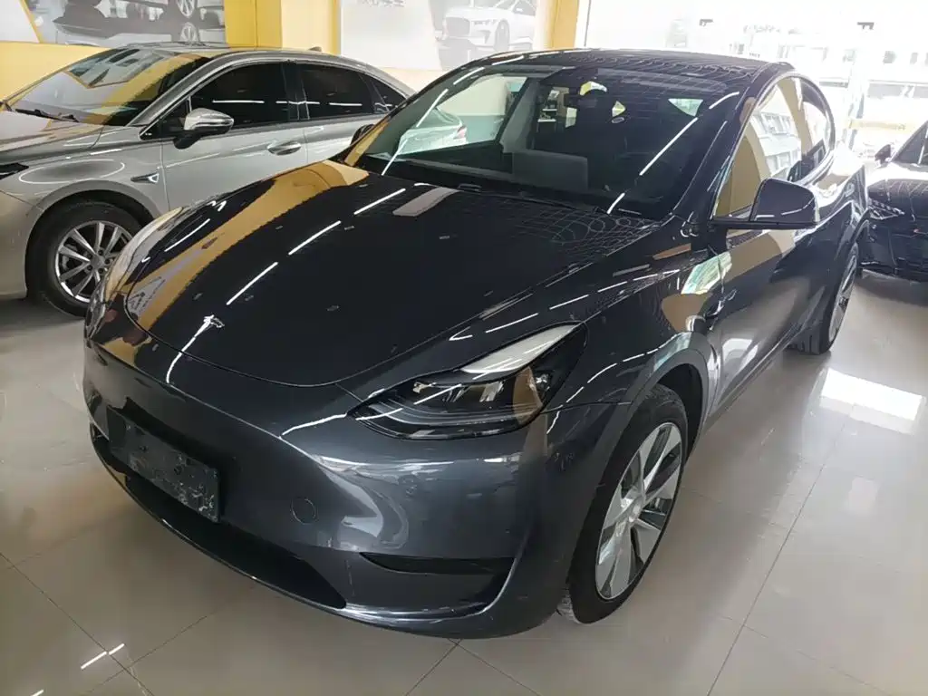 Tesla Model Y — фото 2