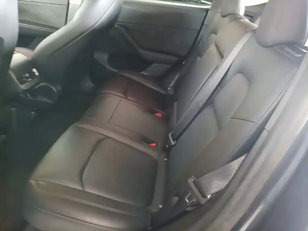 Tesla Model Y — фото 13