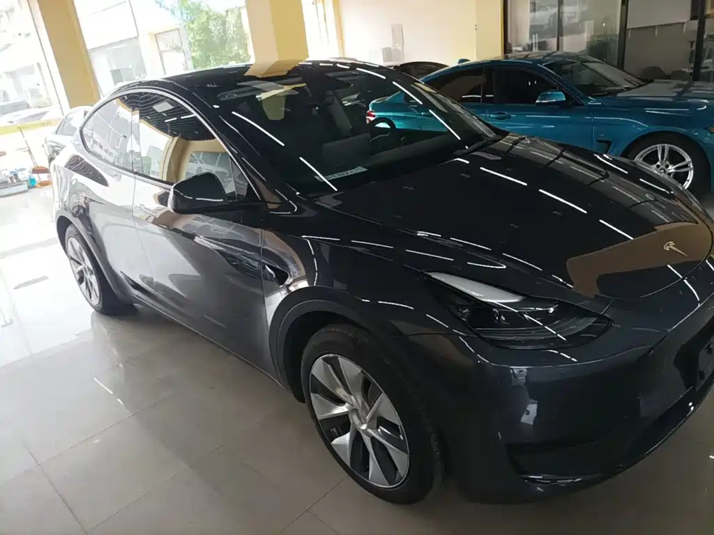 Tesla Model Y — фото 22