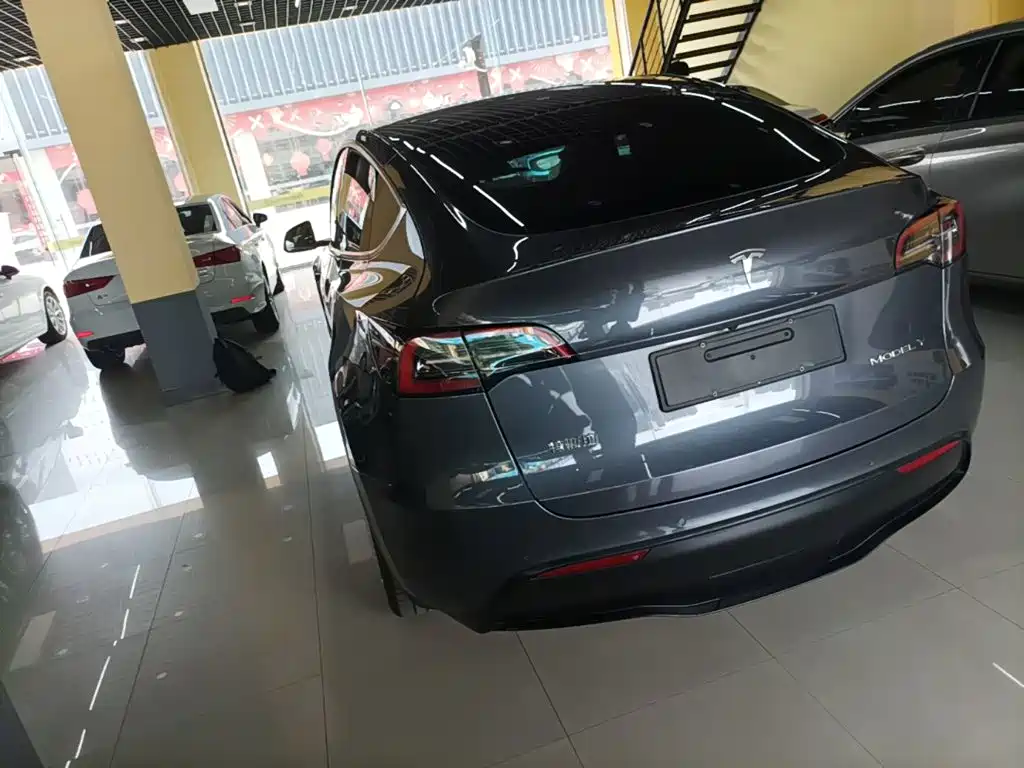 Tesla Model Y — фото 23