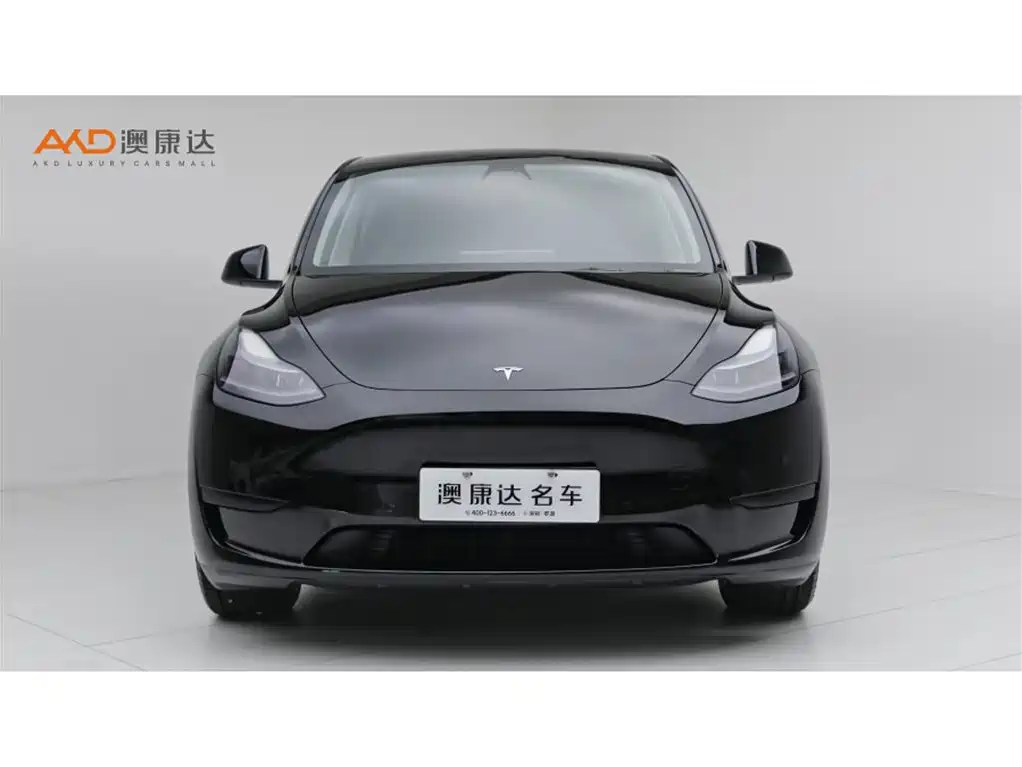Tesla Model Y — фото 2