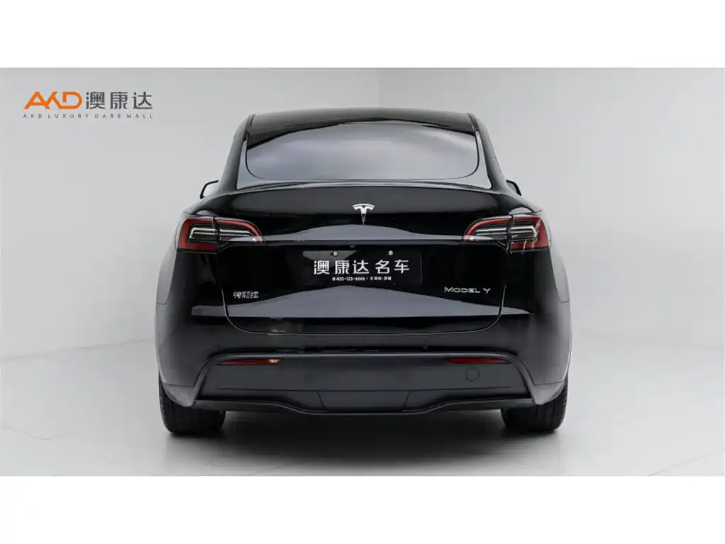 Tesla Model Y — фото 4