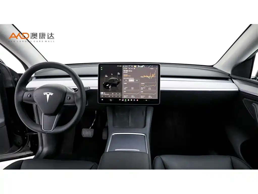 Tesla Model Y — фото 5
