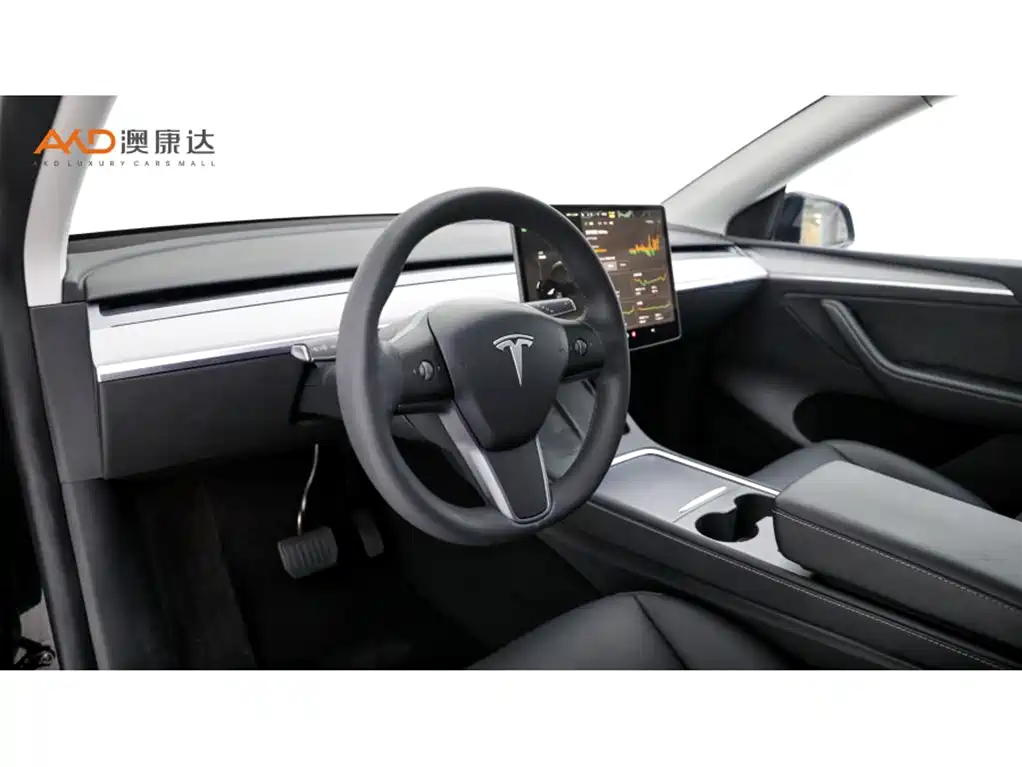 Tesla Model Y — фото 6