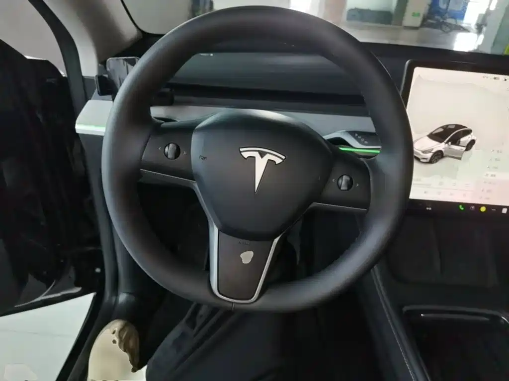 Tesla Model Y — фото 11