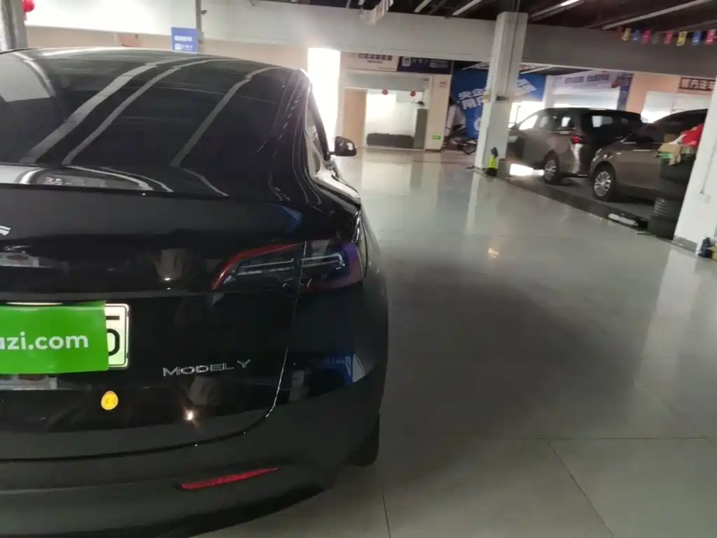 Tesla Model Y — фото 8