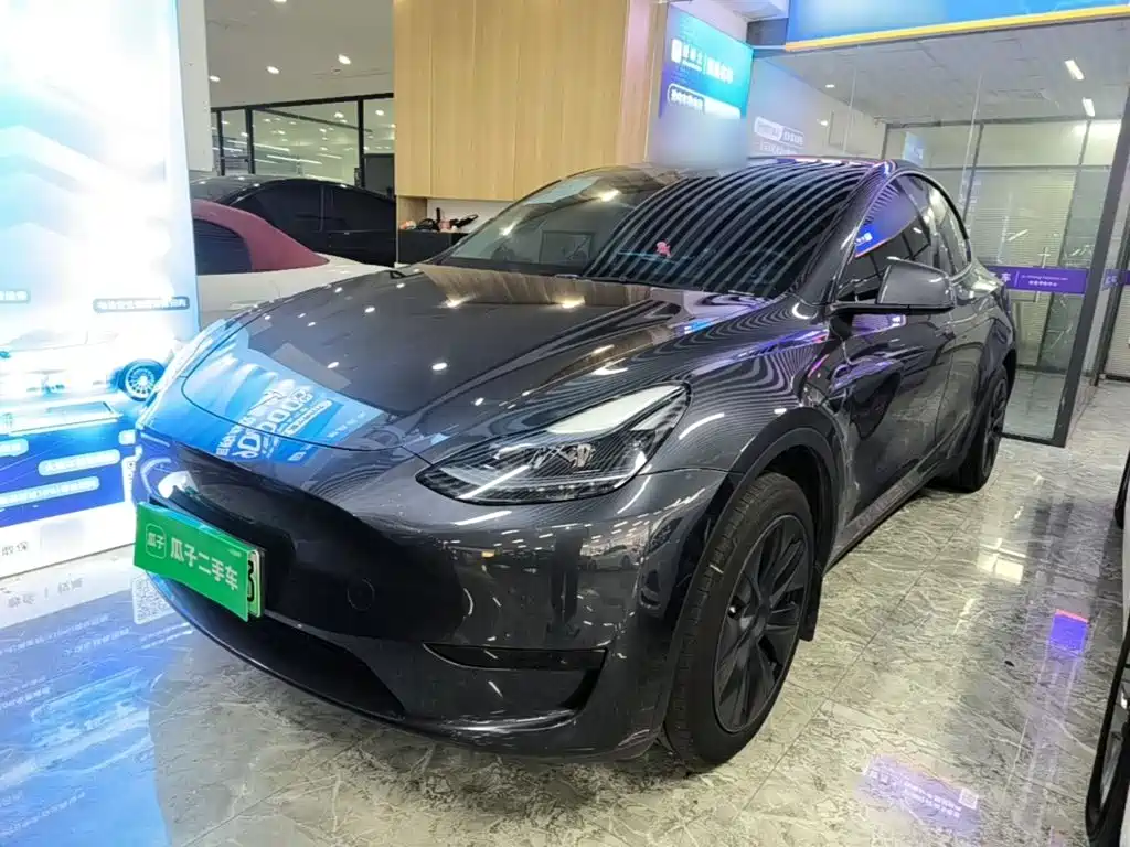 Tesla Model Y — фото 2