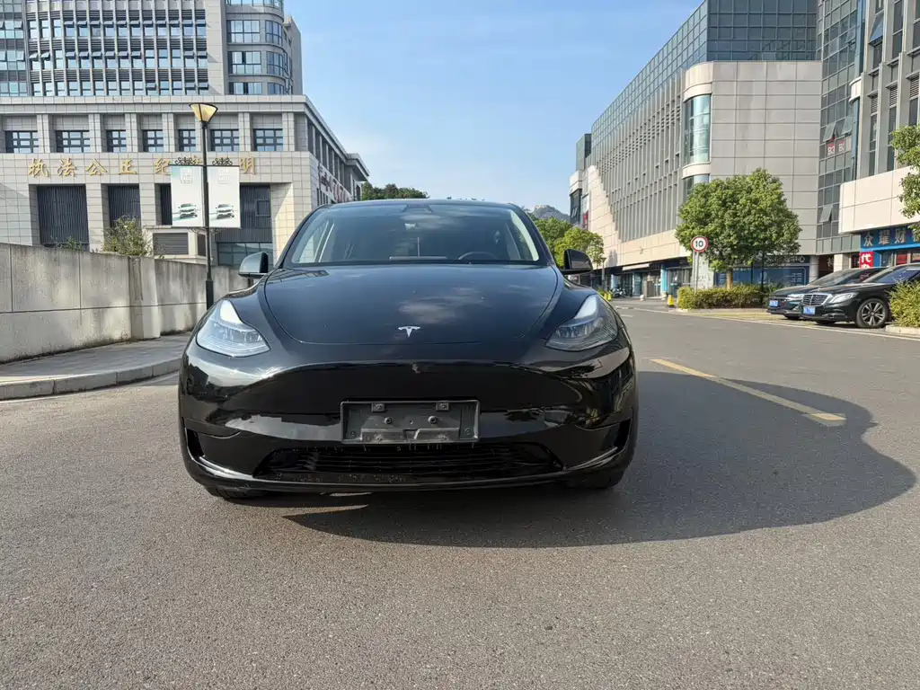 Tesla Model Y — фото 2
