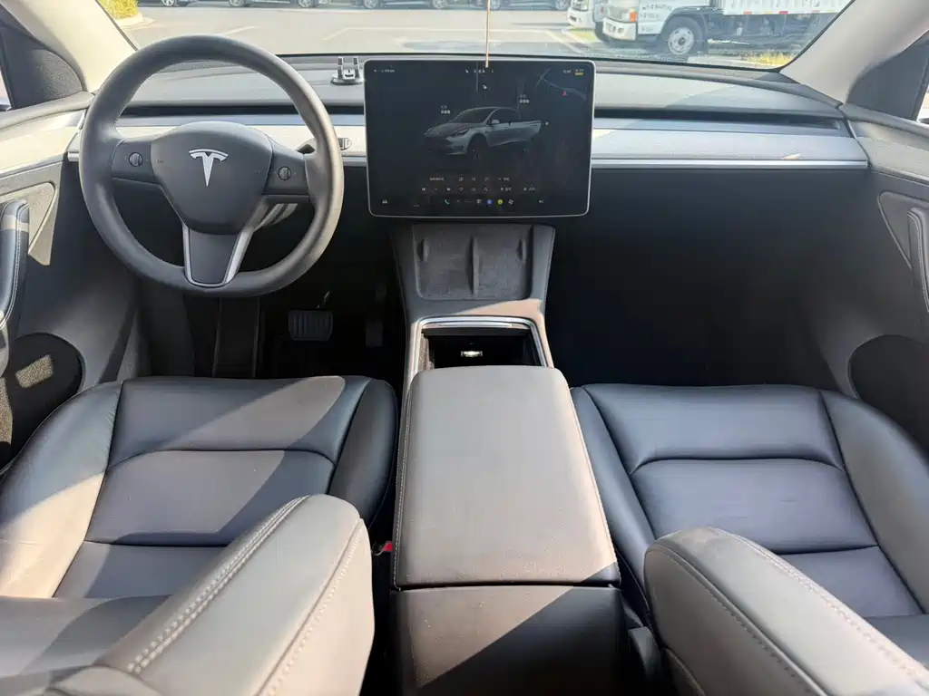 Tesla Model Y — фото 14