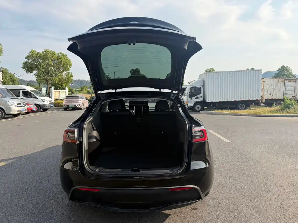 Tesla Model Y — фото 15