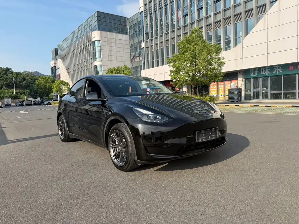 Tesla Model Y — фото 3