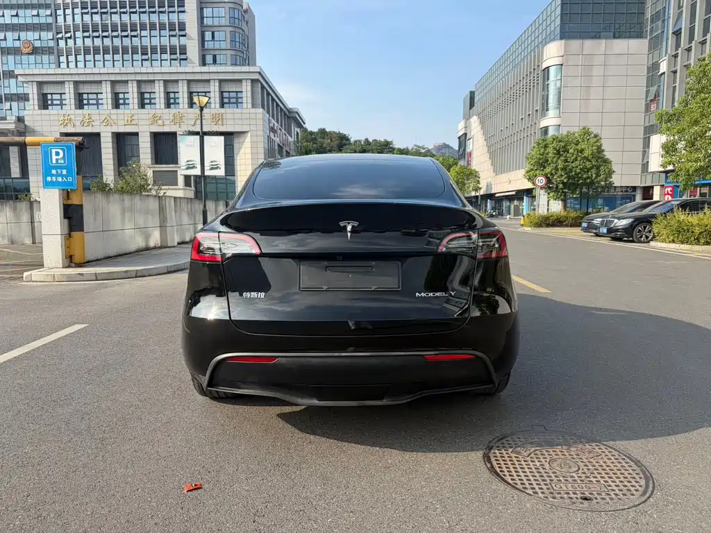 Tesla Model Y — фото 6