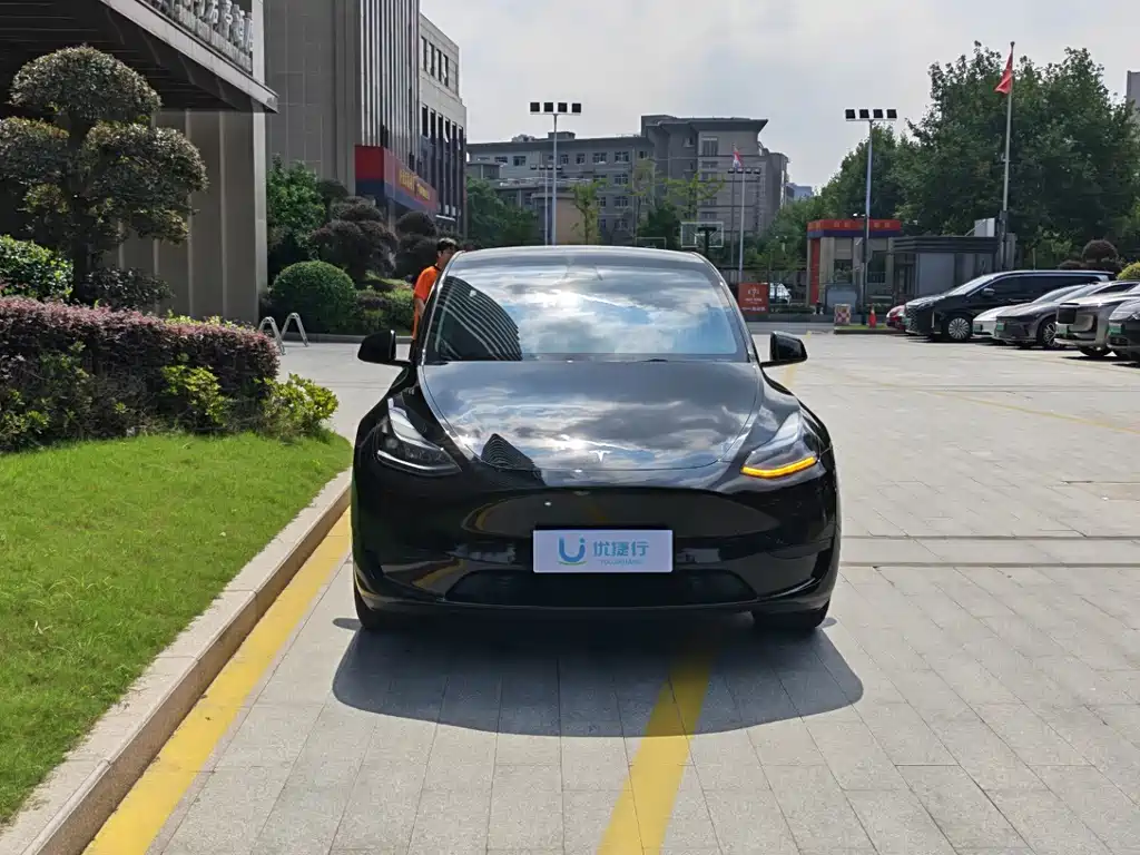 Tesla Model Y — фото 2