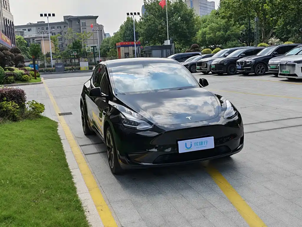 Tesla Model Y — фото 3