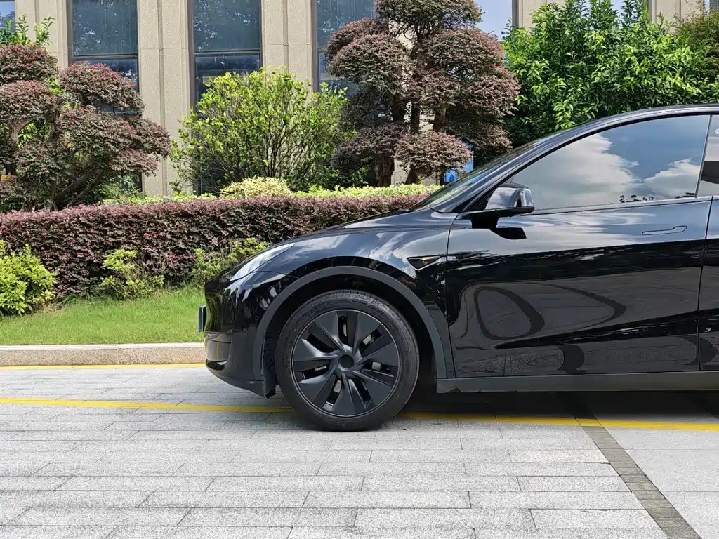 Tesla Model Y — фото 5