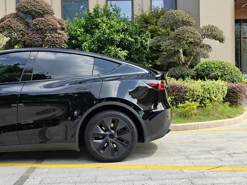 Tesla Model Y — фото 6