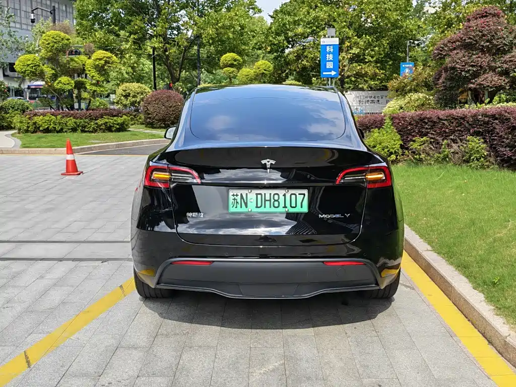 Tesla Model Y — фото 8