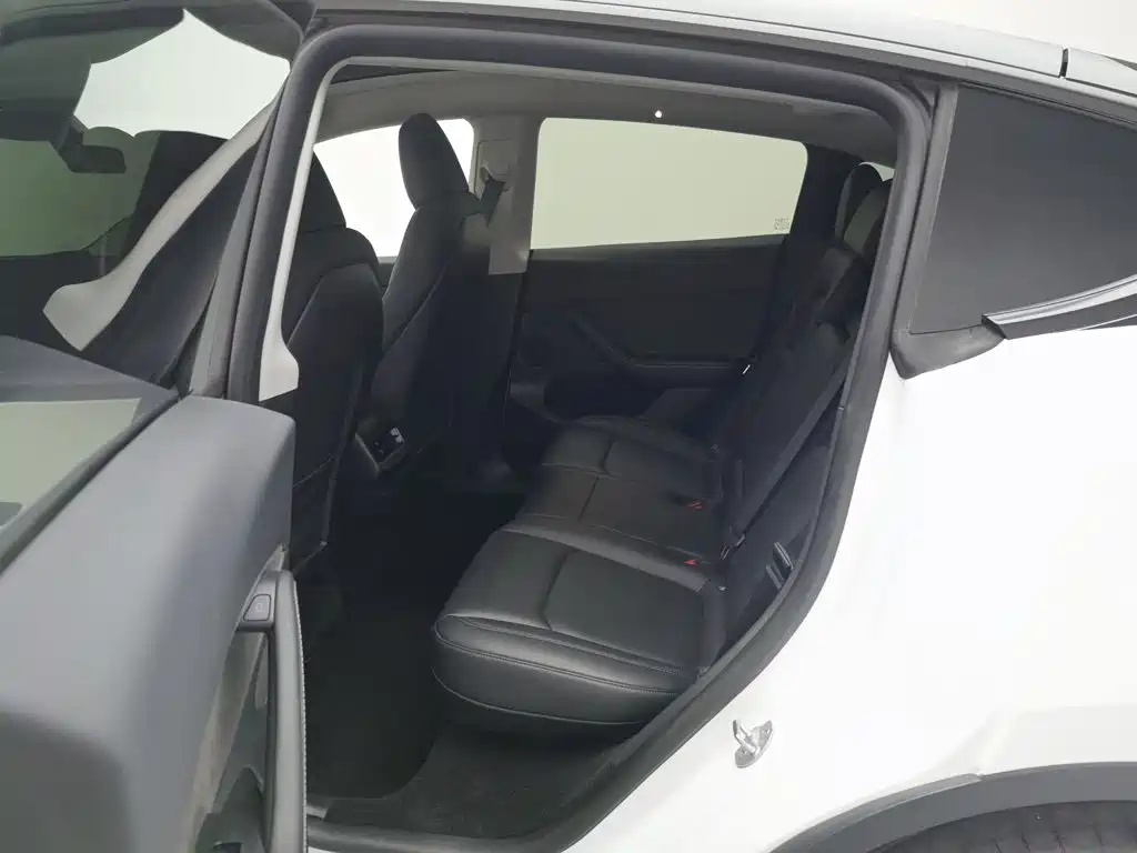 Tesla Model Y — фото 15