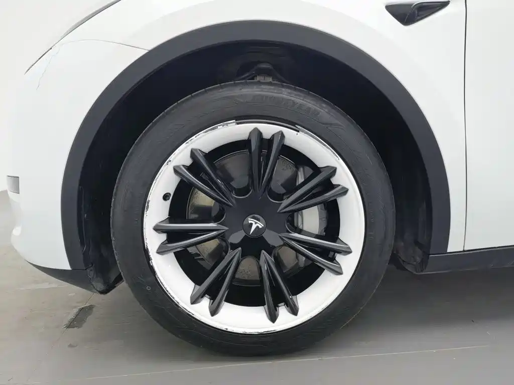 Tesla Model Y — фото 17