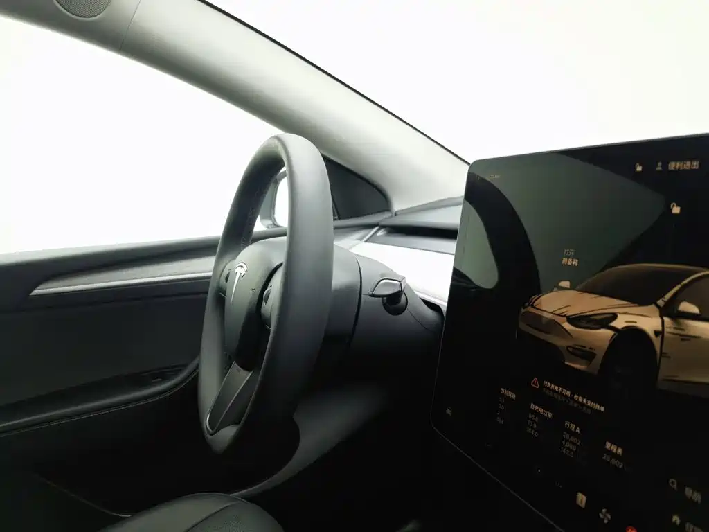 Tesla Model Y — фото 22