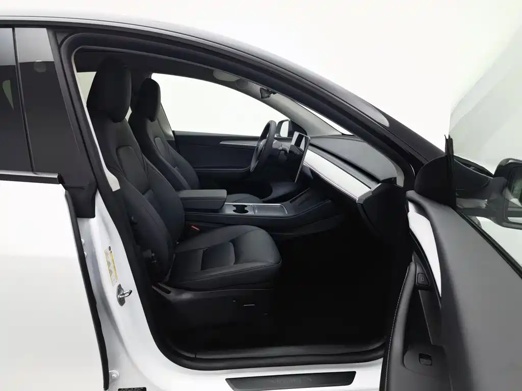 Tesla Model Y — фото 23