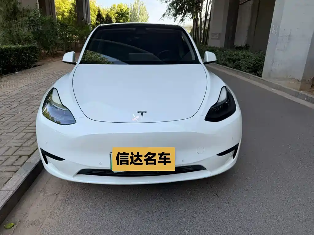 Tesla Model Y — фото 2