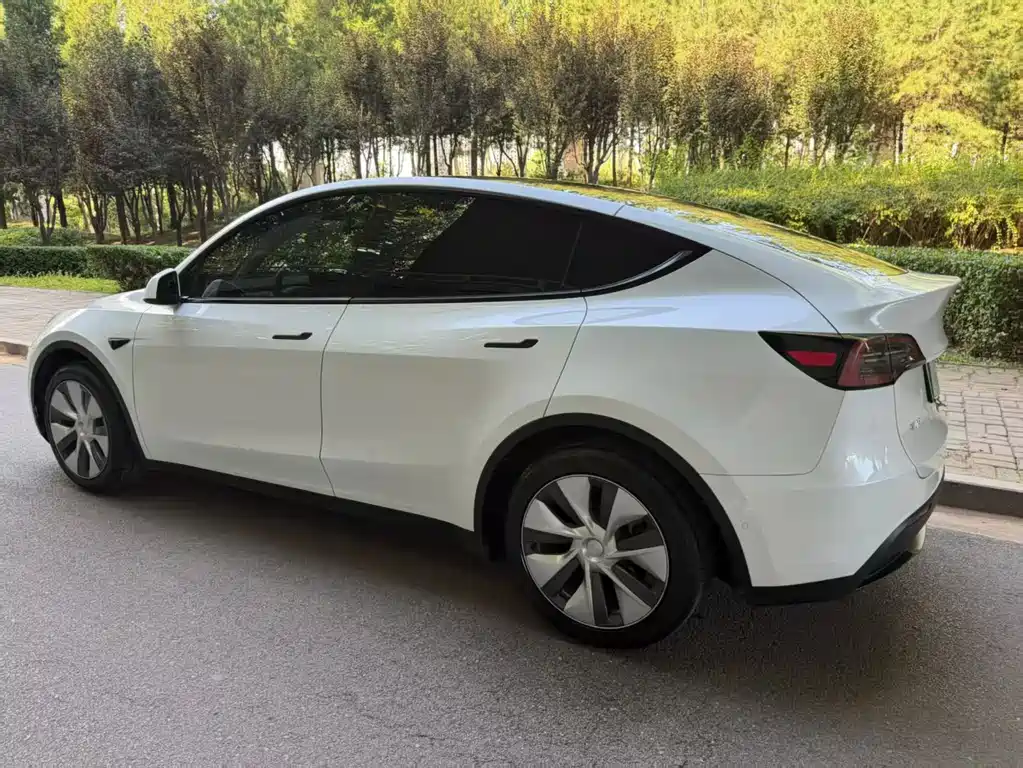 Tesla Model Y — фото 7