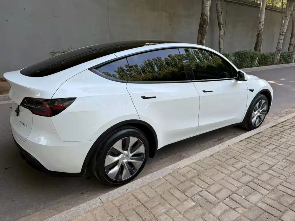 Tesla Model Y — фото 8