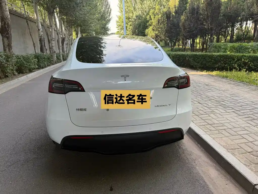 Tesla Model Y — фото 9