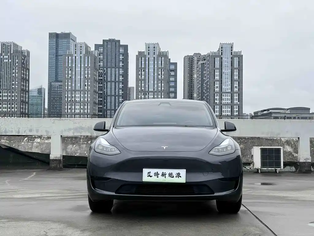 Tesla Model Y — фото 2