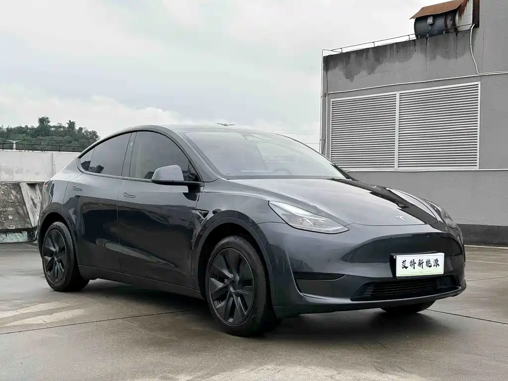 Tesla Model Y — фото 3