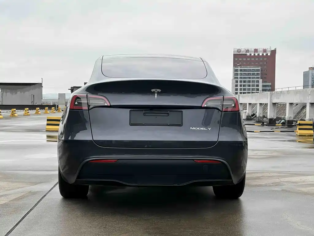 Tesla Model Y — фото 4