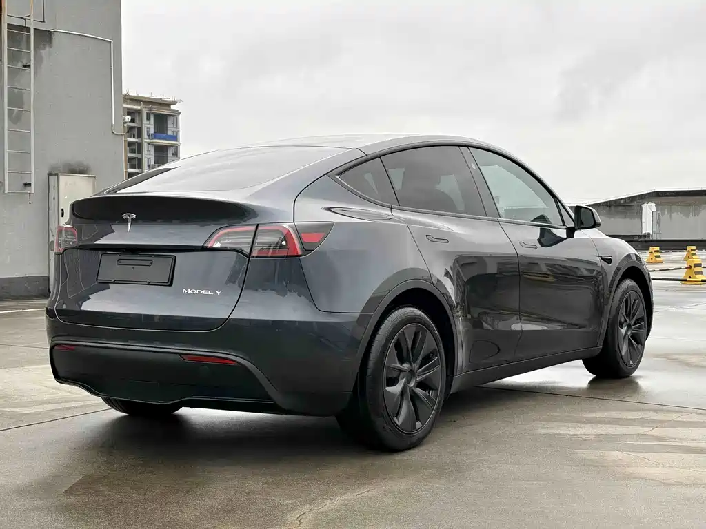 Tesla Model Y — фото 5