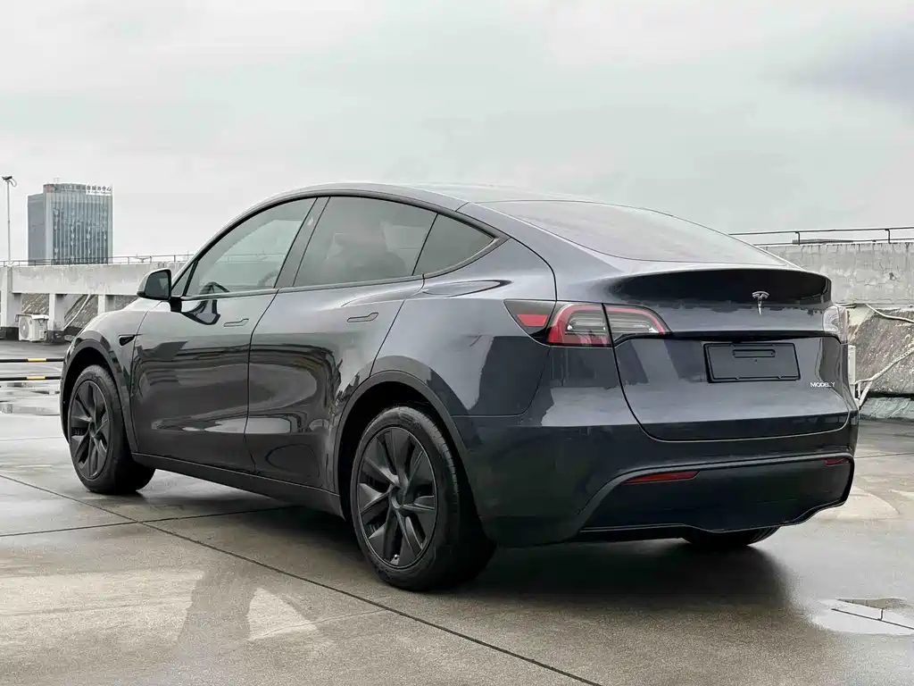 Tesla Model Y — фото 6