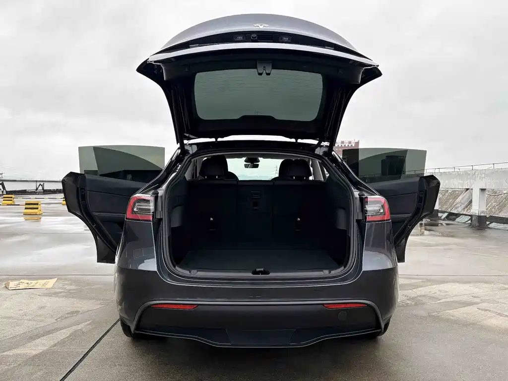 Tesla Model Y — фото 8