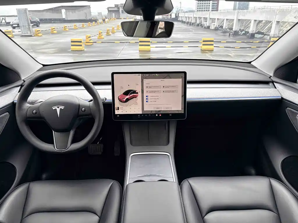 Tesla Model Y — фото 9
