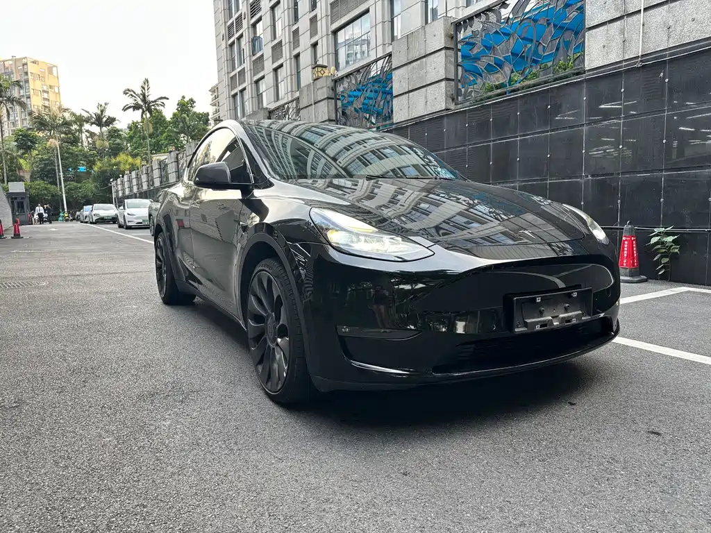 Tesla Model Y — фото 2